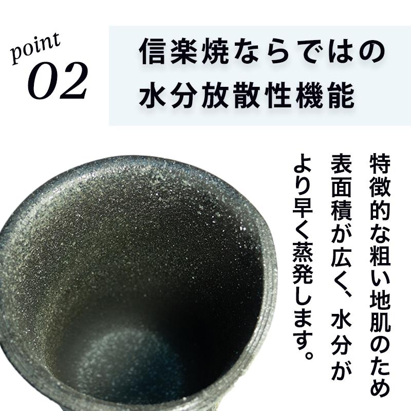 傘立てアンブレラスタンドアンブレララックレインラック信楽焼かわいいふくろう7種アソート陶器日本製