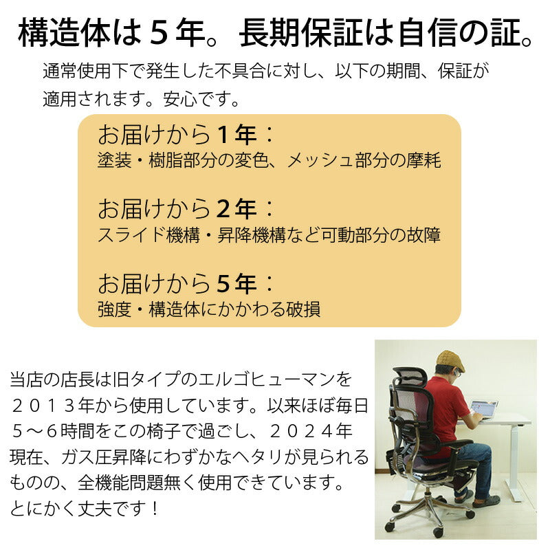 ビジネスチェアオフィスチェアハイタイプロータイプエルゴヒューマンエンジョイergohumanenjoyキャスターヘッドレストアーム付調節機能メッシEJ2-HAMEJ2-LAM