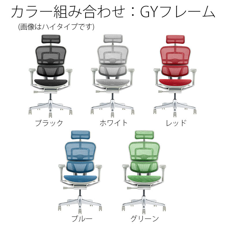 (正規品)【2025年新型モデル】エルゴヒューマンプロ2ergohumanpro2チェアビジネスチェアオフィスチェアキャスターオットマン有